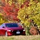red car紅葉を走る‼︎