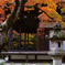 嵯峨野紅葉巡り＜常寂光寺＞