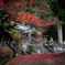 狛犬神社
