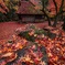 真紅に染まる茶屋