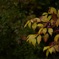 23BB9616-33FC-4525-AB09-7901D186BC1B