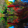 紅葉と橋
