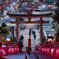 足利姫織神社　灯り物語2022