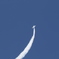 1I4A1467