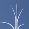 1I4A1702