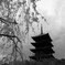 東寺