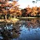 紅葉池