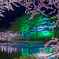 春夜の高田城