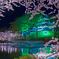 春夜の高田城