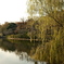 三ツ池公園01