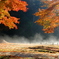 朝霧の紅葉庭園