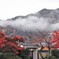 早朝の天龍寺