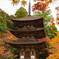 西明寺