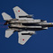 2022百里基地航空祭～Ｆ-１５機動飛行～_02