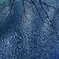 水面００１
