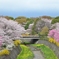 多彩な春