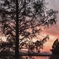 夕暮れ