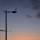 夕景