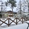 今朝の雪1