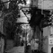 旅館の裏路地