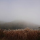 霧の町