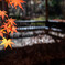 公園にて
