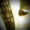 window-shopping