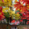 西林寺⑥