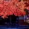 残り紅葉と自転車