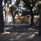 奈良公園