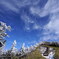 雲流れる四阿山