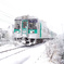 雪景色の中走破する汽車