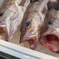 新鮮 魚市場