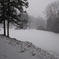 初雪