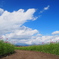 青空