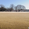 冬の公園