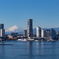 ランドマークと富士