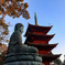 座して聳えて正月を待つ　大仏と塔