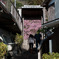 桜が咲いた