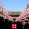 謹賀新年　あけましておめでとうございます