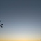 IMG00062