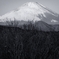 吾妻山公園