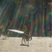 DSC01266