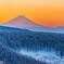 紅富士と霧氷