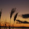 湘南の夕焼け　日の入りが遅くなった気がする