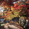 勝尾寺3