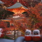 勝尾寺
