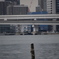 大都市