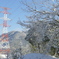雪の日のお散歩カメラ