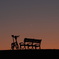 夕暮れの丘